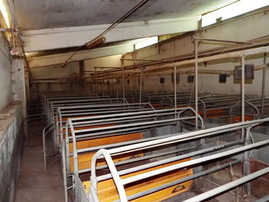 Immagine 22 di Capannone industriale in vendita  in Località Orbai a Dolianova