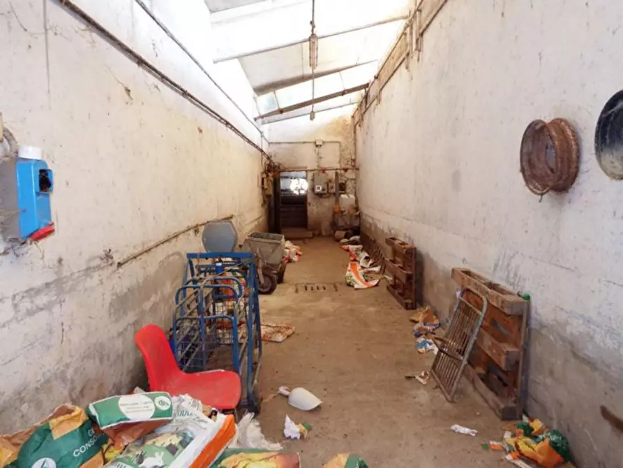 Immagine 23 di Capannone industriale in vendita  in Località Orbai a Dolianova