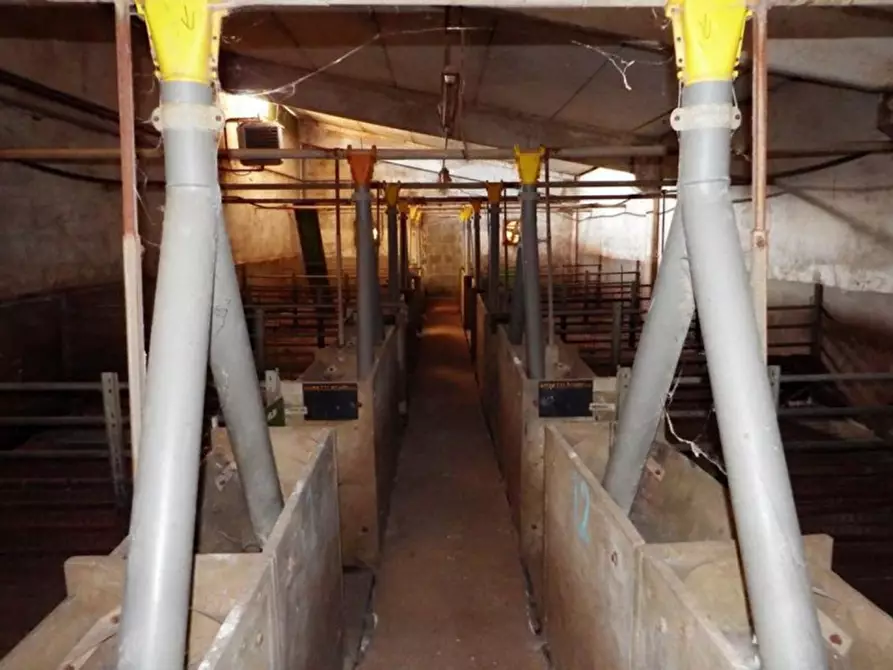 Immagine 24 di Capannone industriale in vendita  in Località Orbai a Dolianova