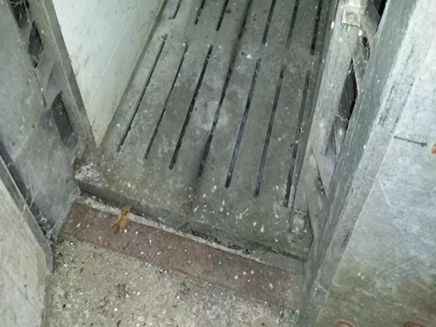 Immagine 30 di Capannone industriale in vendita  in Località Orbai a Dolianova