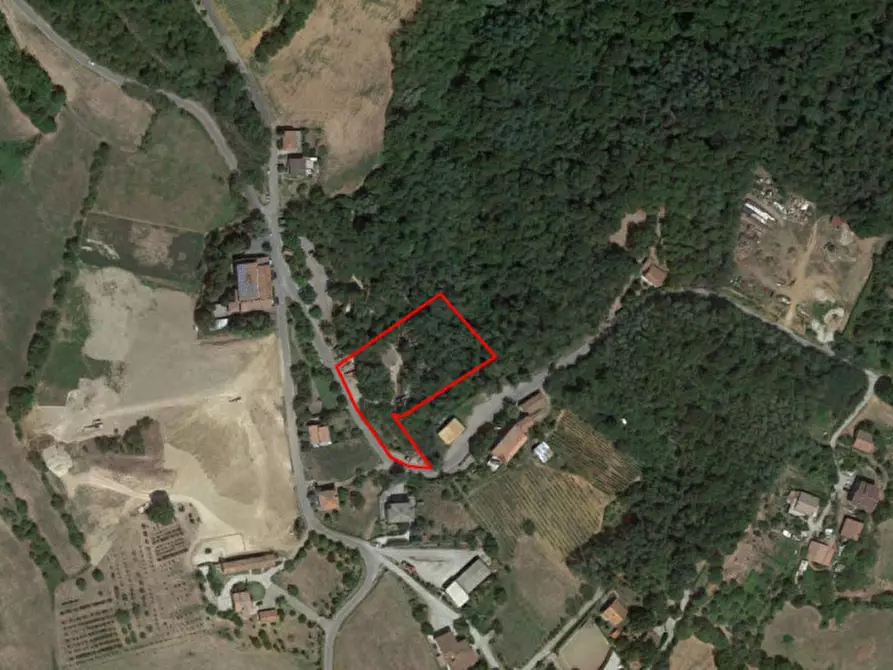 Immagine 2 di Cantina in vendita  in Strada Comunale per Castione a Ponte Dell'olio