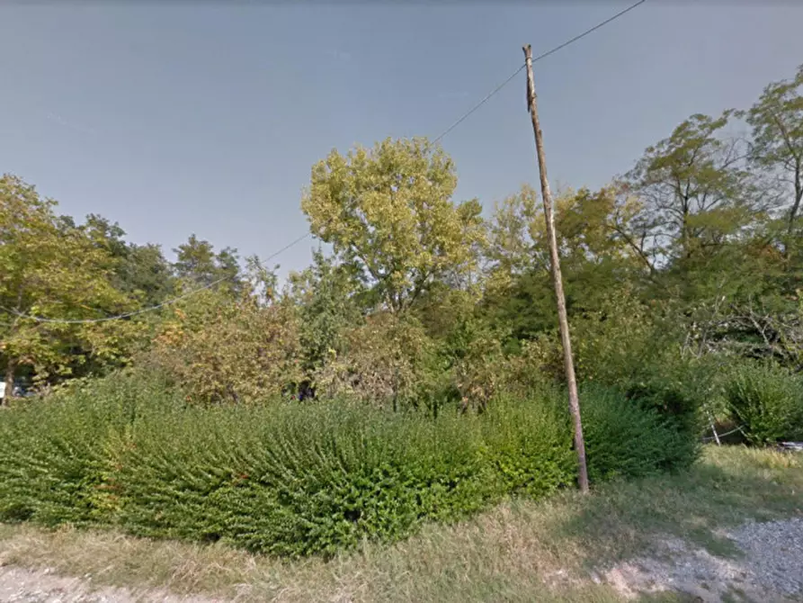 Immagine 4 di Cantina in vendita  in Strada Comunale per Castione a Ponte Dell'olio