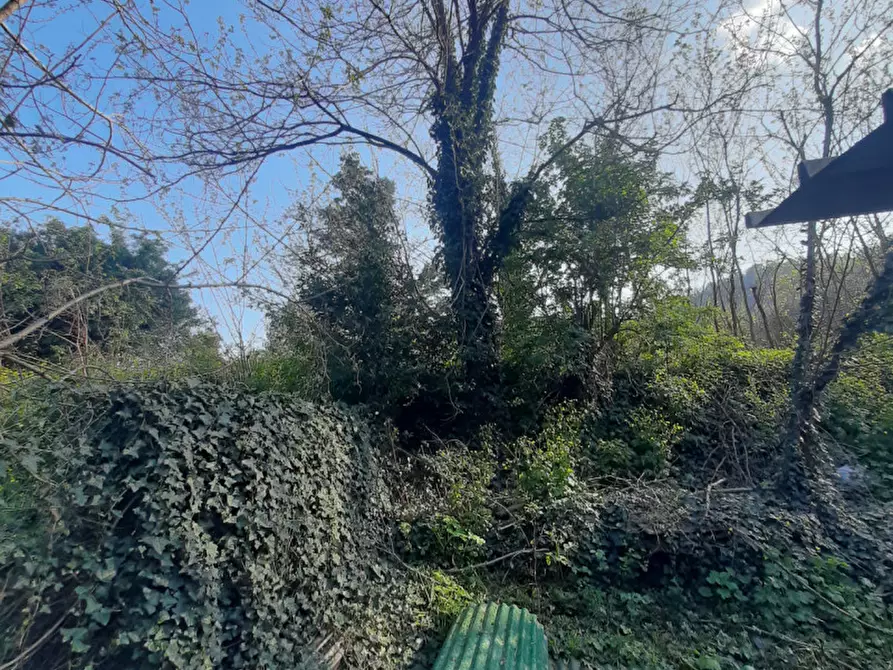 Immagine 3 di Casa indipendente in vendita  in Via Roma a Galzignano Terme