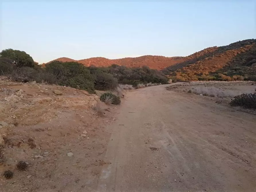 Immagine 5 di Terreno in vendita  in Porto di Piscinnì a Domus De Maria