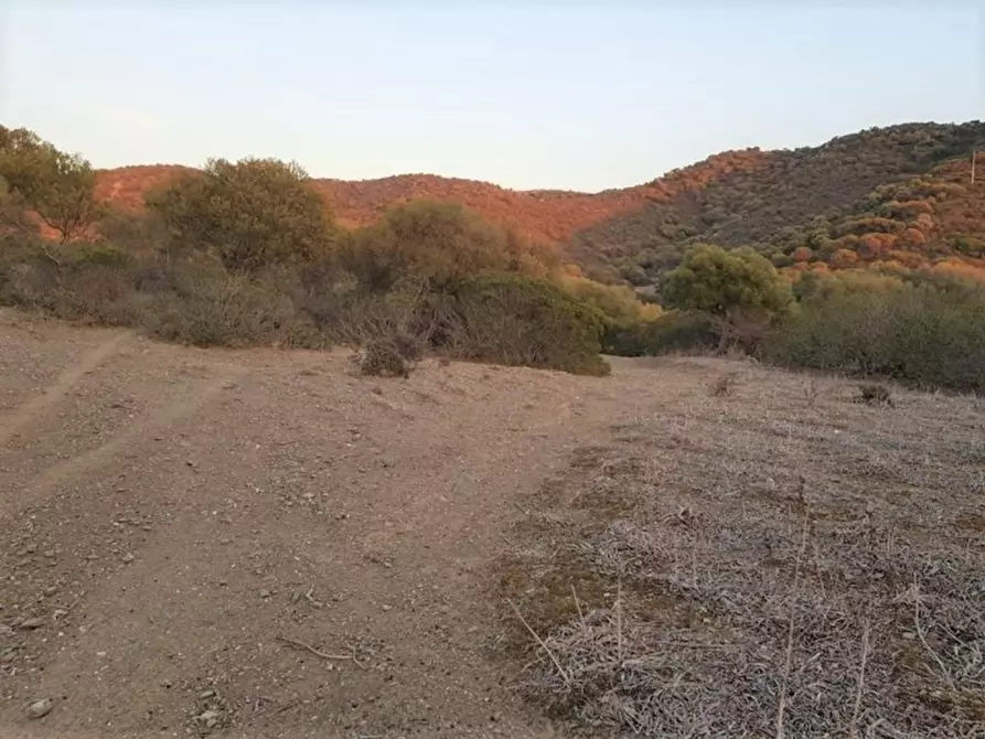 Immagine 6 di Terreno in vendita  in Porto di Piscinnì a Domus De Maria