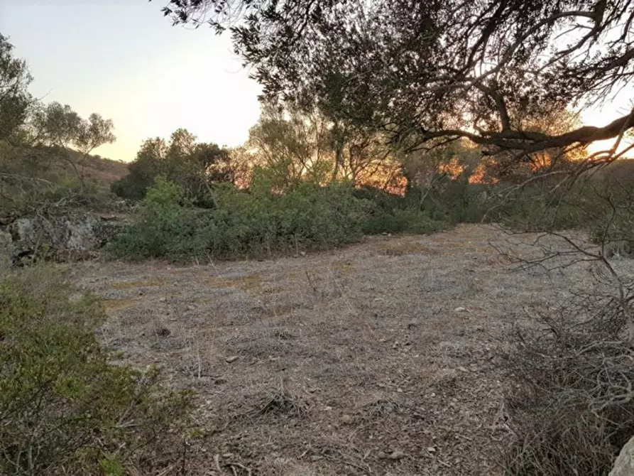 Immagine 8 di Terreno in vendita  in Porto di Piscinnì a Domus De Maria