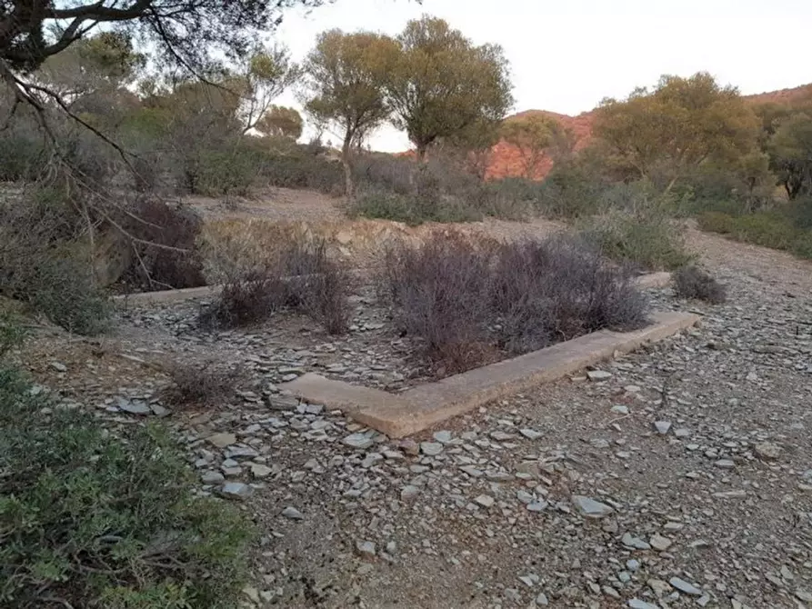 Immagine 9 di Terreno in vendita  in Porto di Piscinnì a Domus De Maria