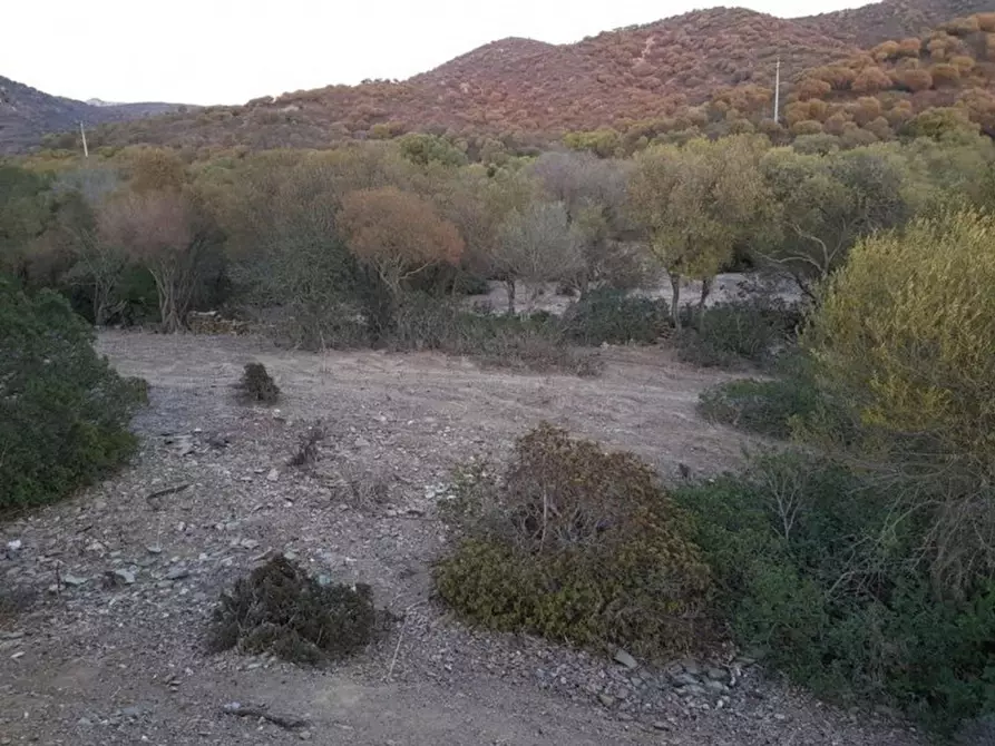 Immagine 10 di Terreno in vendita  in Porto di Piscinnì a Domus De Maria