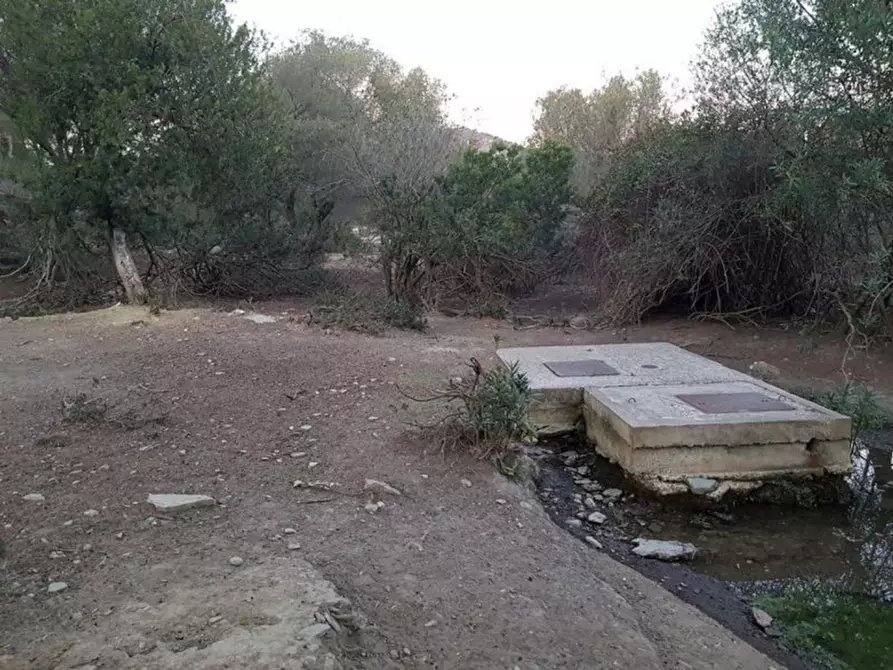 Immagine 12 di Terreno in vendita  in Porto di Piscinnì a Domus De Maria