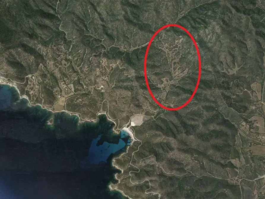 Immagine 19 di Terreno in vendita  in Porto di Piscinnì a Domus De Maria