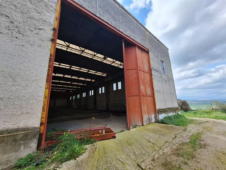 Immagine 1 di Capannone industriale in vendita  in Borgo Santa Lucia, N. SP10 a Morrovalle