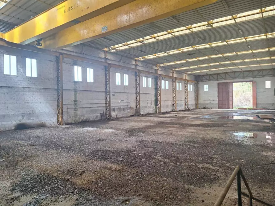 Immagine 3 di Capannone industriale in vendita  in Borgo Santa Lucia, N. SP10 a Morrovalle