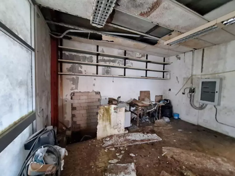 Immagine 10 di Capannone industriale in vendita  in Borgo Santa Lucia, N. SP10 a Morrovalle