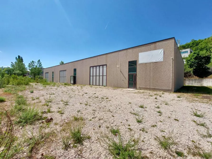 Immagine 1 di Capannone industriale in vendita  in Località Monte Moro, N. snc a Pescorocchiano