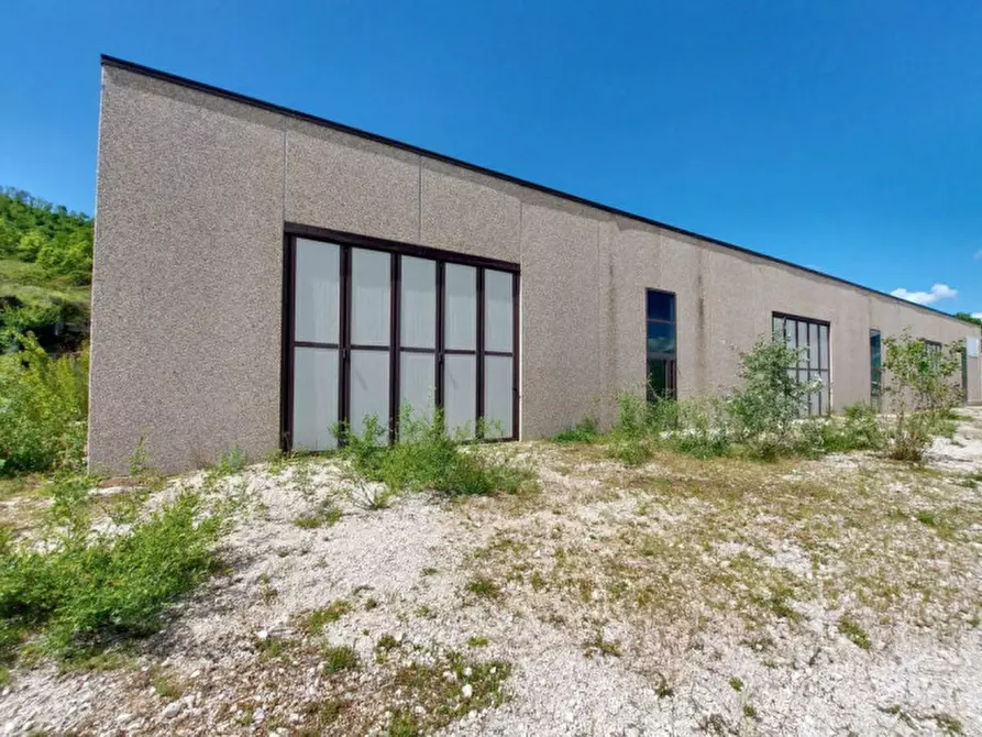 Immagine 2 di Capannone industriale in vendita  in Località Monte Moro, N. snc a Pescorocchiano