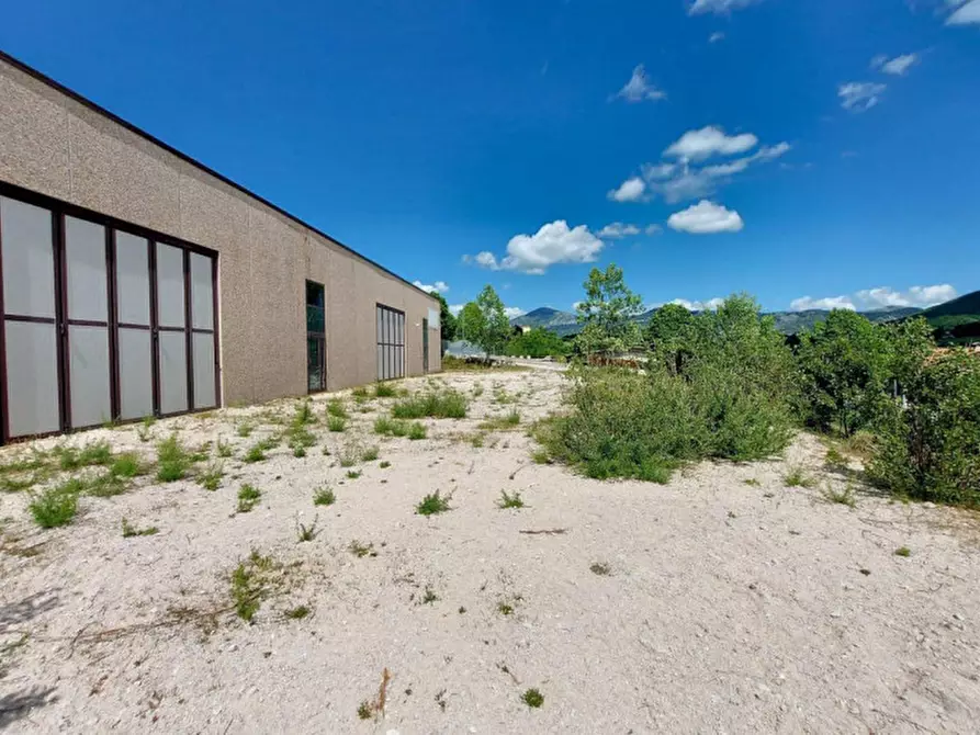 Immagine 3 di Capannone industriale in vendita  in Località Monte Moro, N. snc a Pescorocchiano