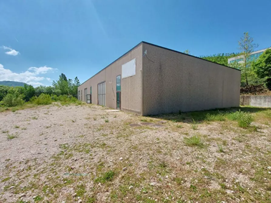 Immagine 9 di Capannone industriale in vendita  in Località Monte Moro, N. snc a Pescorocchiano