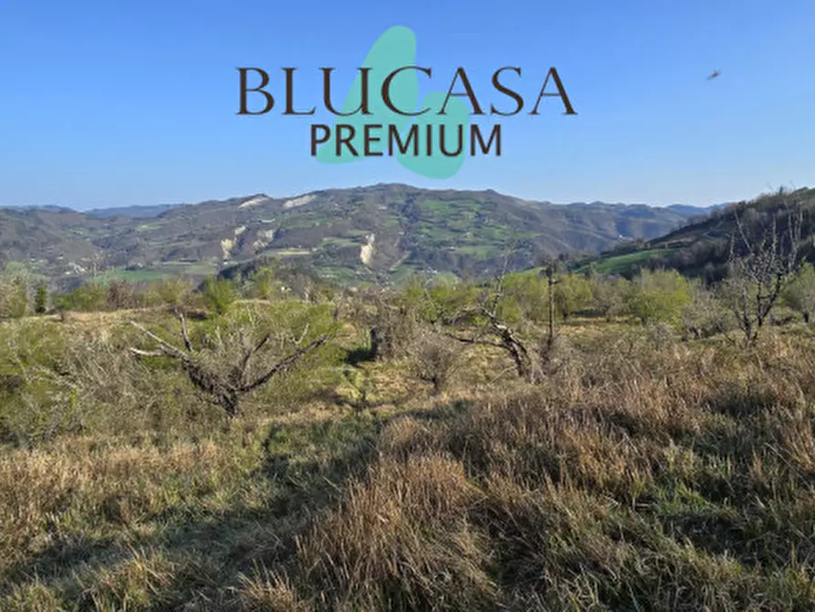 Immagine 1 di Terreno in vendita  in strada provinciale 76 a Civitella Di Romagna