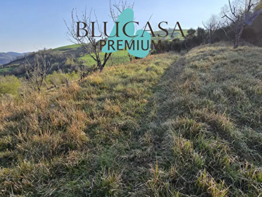 Immagine 2 di Terreno in vendita  in strada provinciale 76 a Civitella Di Romagna