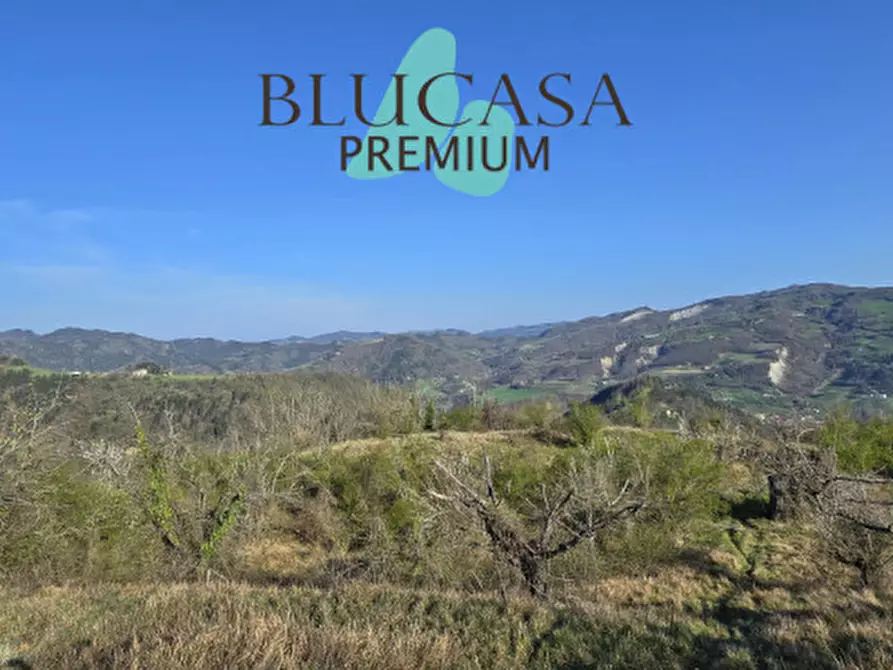 Immagine 3 di Terreno in vendita  in strada provinciale 76 a Civitella Di Romagna