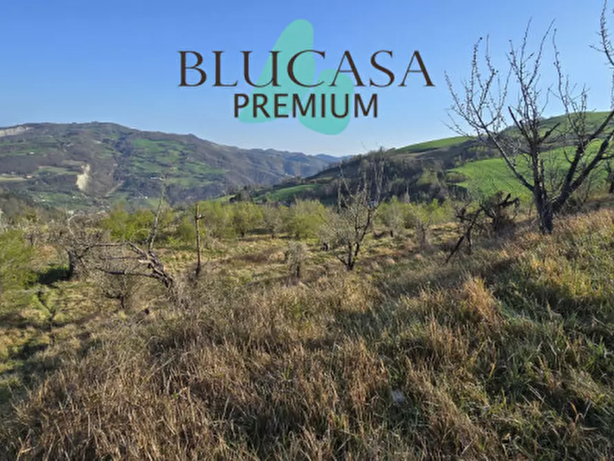 Immagine 4 di Terreno in vendita  in strada provinciale 76 a Civitella Di Romagna