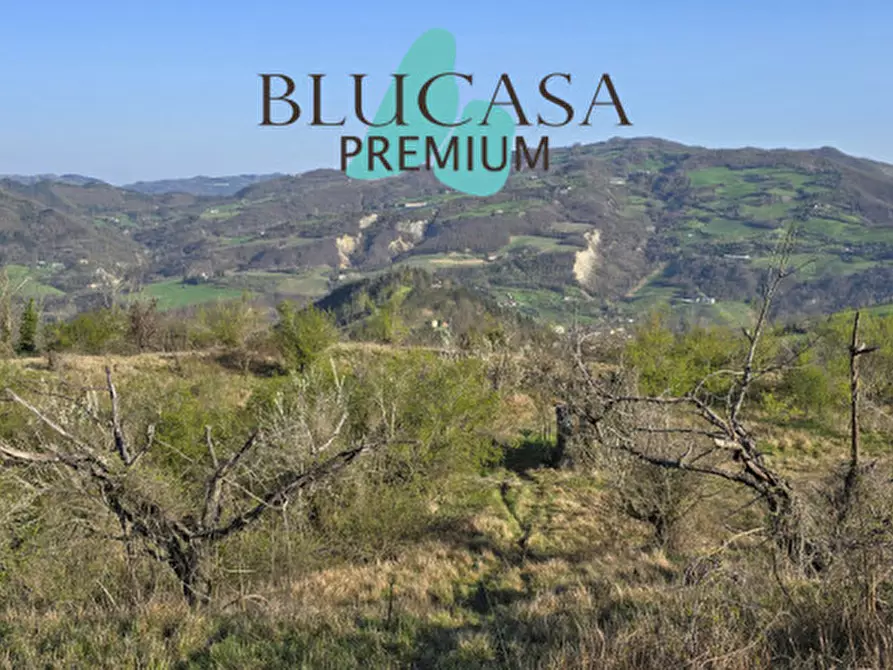Immagine 5 di Terreno in vendita  in strada provinciale 76 a Civitella Di Romagna