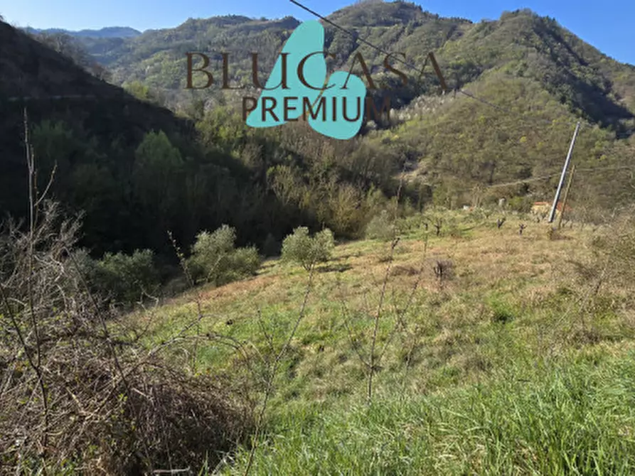 Immagine 3 di Casa indipendente in vendita  in Strada provinciale 76 a Civitella Di Romagna