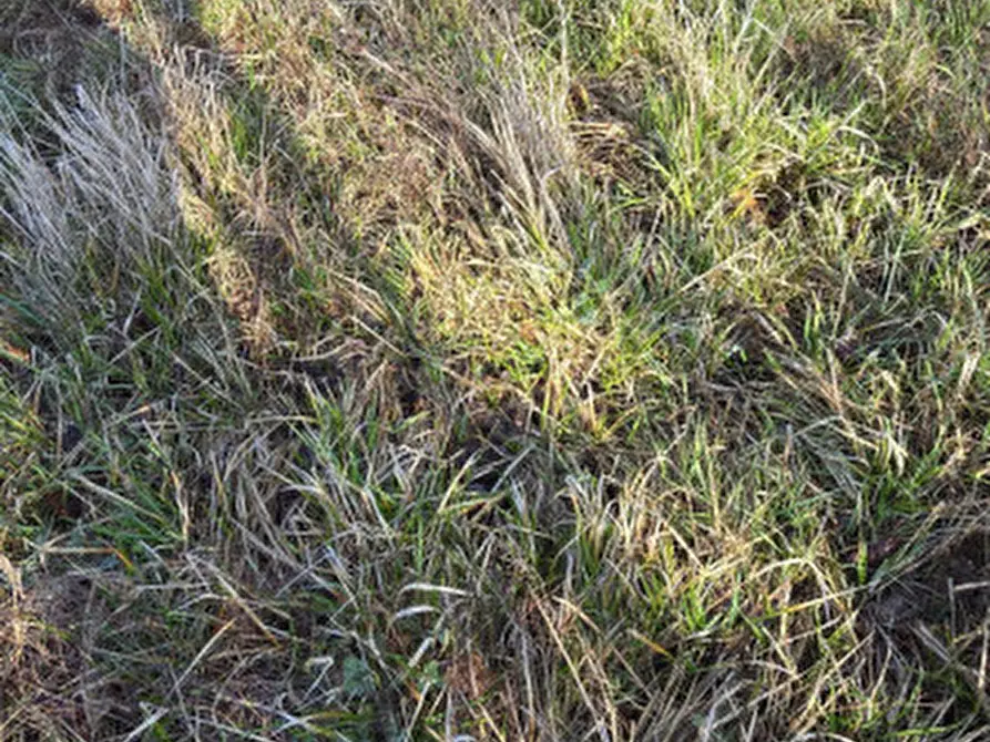 Immagine 5 di Casa indipendente in vendita  in Strada provinciale 76 a Civitella Di Romagna