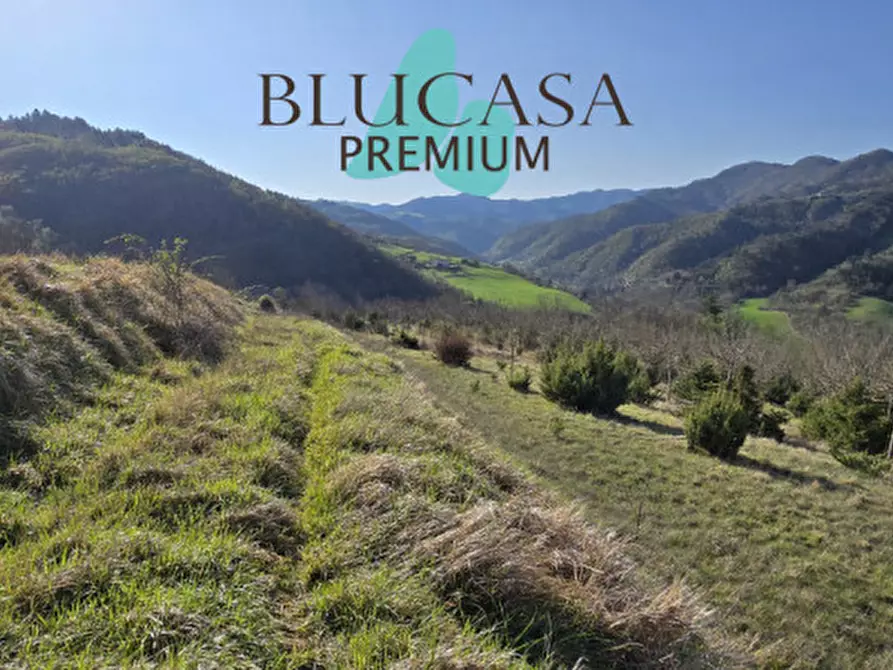 Immagine 1 di Terreno in vendita  in strada provinciale 76 a Civitella Di Romagna