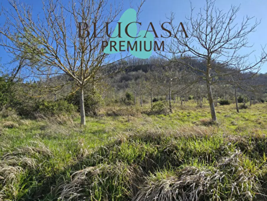 Immagine 2 di Terreno in vendita  in strada provinciale 76 a Civitella Di Romagna