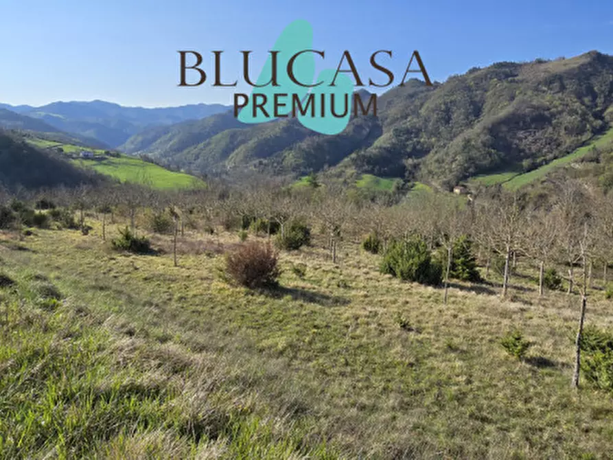Immagine 3 di Terreno in vendita  in strada provinciale 76 a Civitella Di Romagna