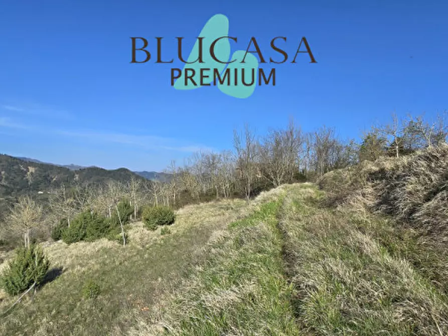 Immagine 4 di Terreno in vendita  in strada provinciale 76 a Civitella Di Romagna