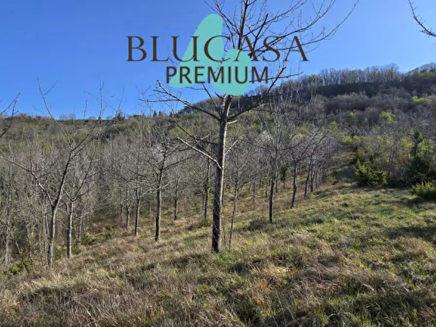 Immagine 5 di Terreno in vendita  in strada provinciale 76 a Civitella Di Romagna