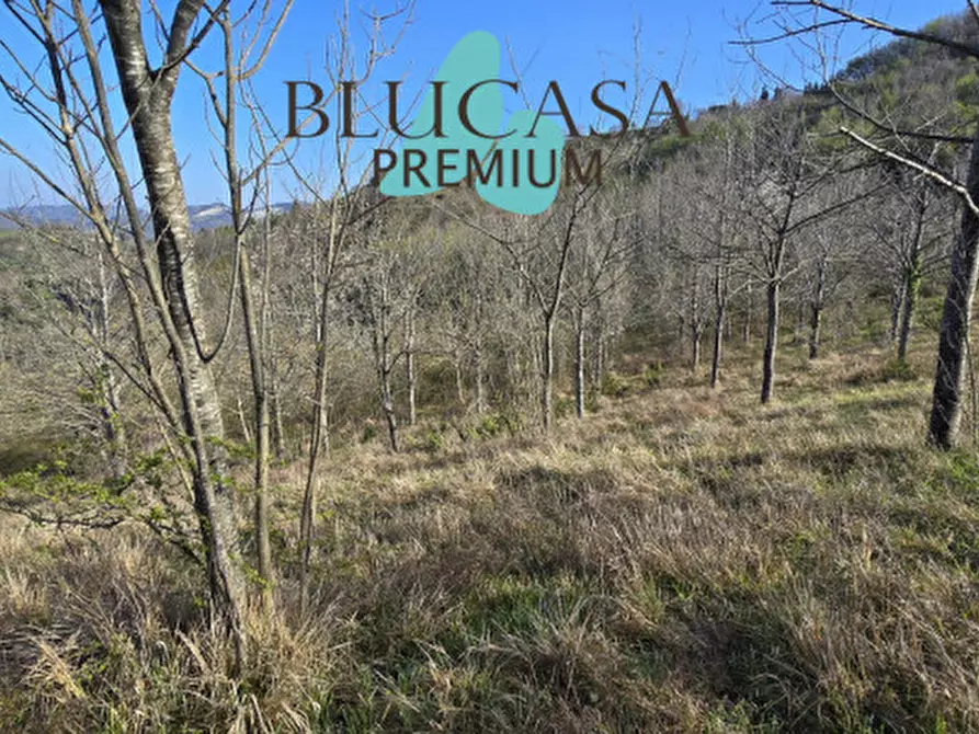 Immagine 6 di Terreno in vendita  in strada provinciale 76 a Civitella Di Romagna
