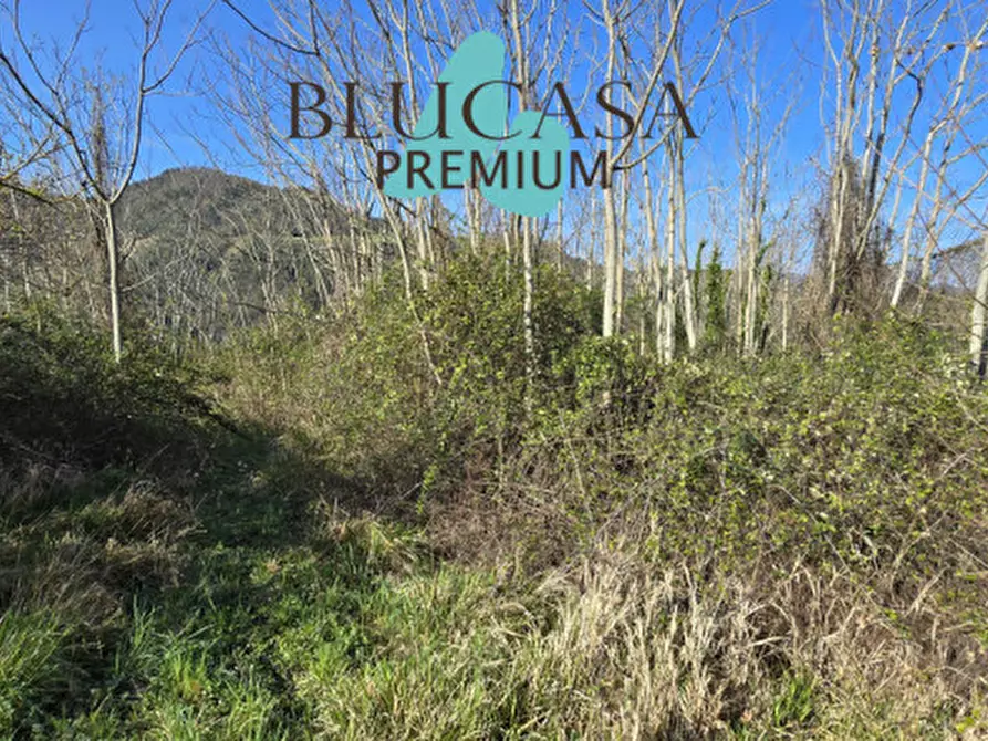 Immagine 7 di Terreno in vendita  in strada provinciale 76 a Civitella Di Romagna