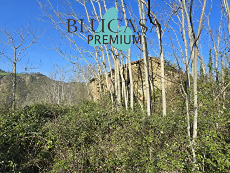 Immagine 8 di Terreno in vendita  in strada provinciale 76 a Civitella Di Romagna