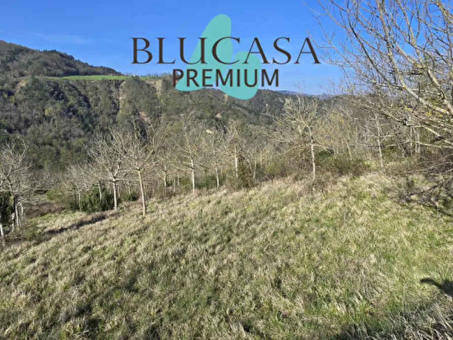 Immagine 9 di Terreno in vendita  in strada provinciale 76 a Civitella Di Romagna