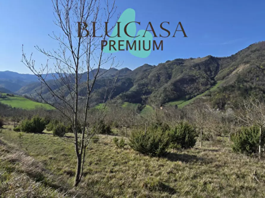 Immagine 10 di Terreno in vendita  in strada provinciale 76 a Civitella Di Romagna