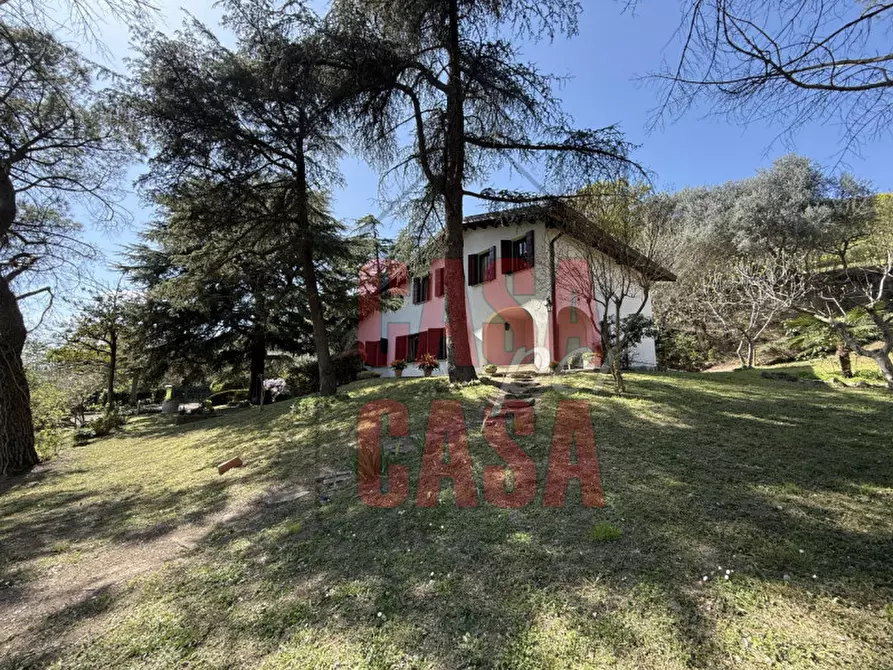 Immagine 3 di Rustico / casale in vendita  in Via Cà Matte a Cinto Euganeo