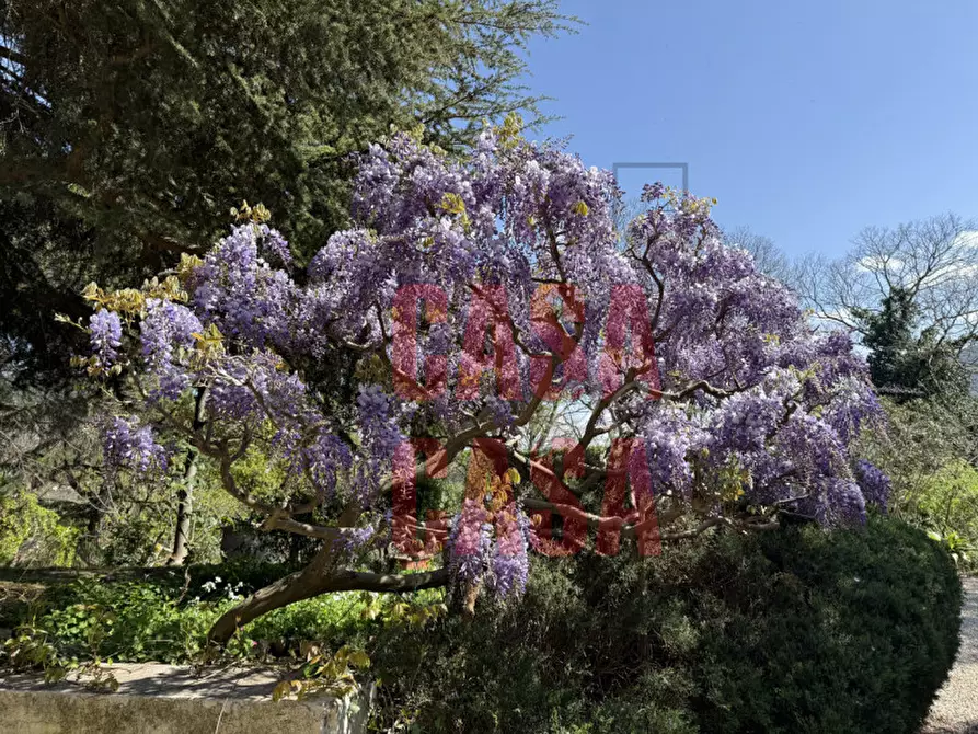 Immagine 37 di Rustico / casale in vendita  in Via Cà Matte a Cinto Euganeo