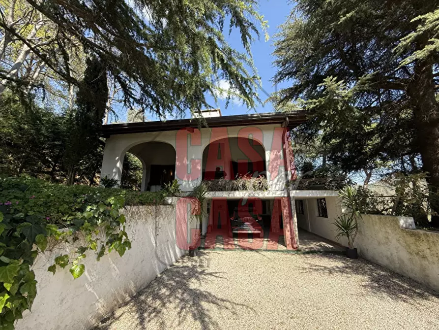 Immagine 38 di Rustico / casale in vendita  in Via Cà Matte a Cinto Euganeo