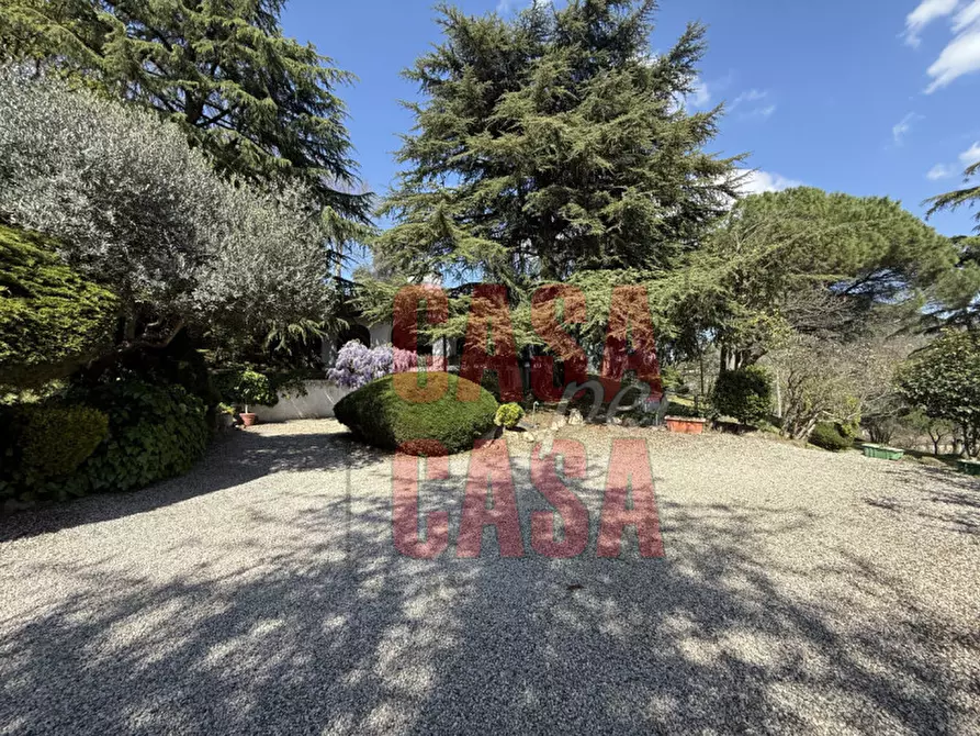 Immagine 39 di Rustico / casale in vendita  in Via Cà Matte a Cinto Euganeo