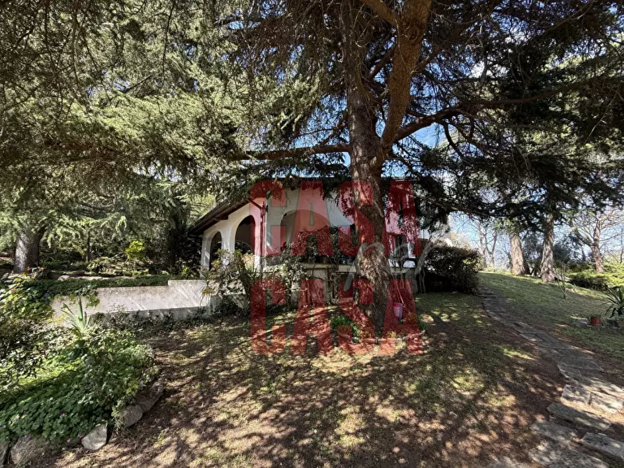 Immagine 40 di Rustico / casale in vendita  in Via Cà Matte a Cinto Euganeo