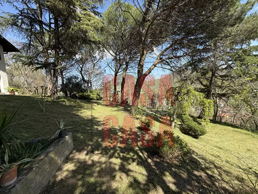 Immagine 41 di Rustico / casale in vendita  in Via Cà Matte a Cinto Euganeo