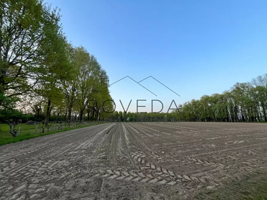 Immagine 26 di Casa indipendente in vendita  in Via Cornarotta a Quinto Di Treviso