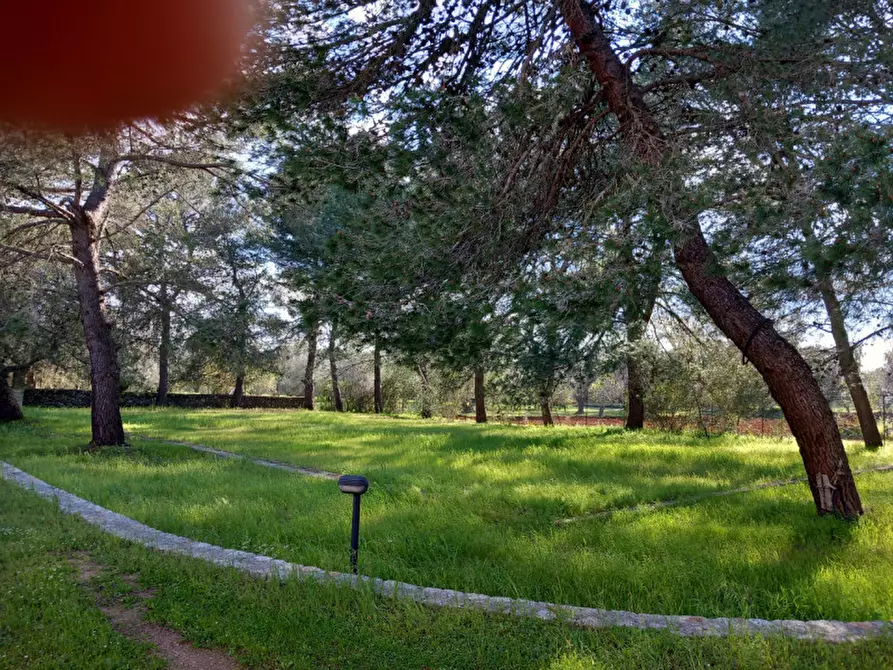 Immagine 4 di Rustico / casale in vendita  in C.da Mogavero a Francavilla Fontana