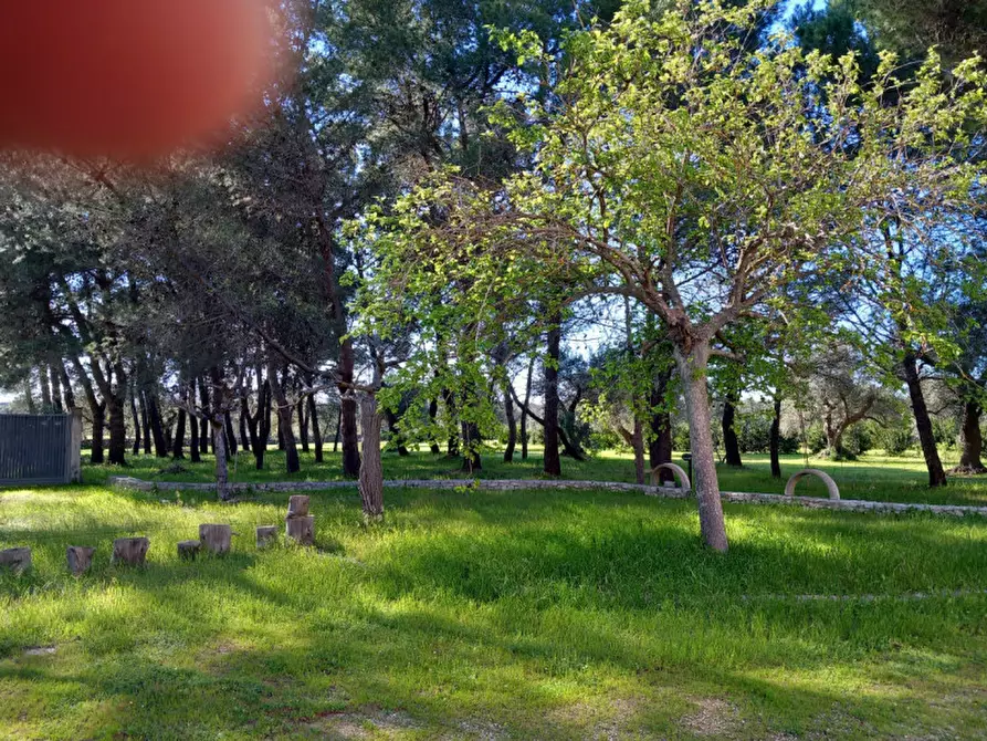 Immagine 5 di Rustico / casale in vendita  in C.da Mogavero a Francavilla Fontana