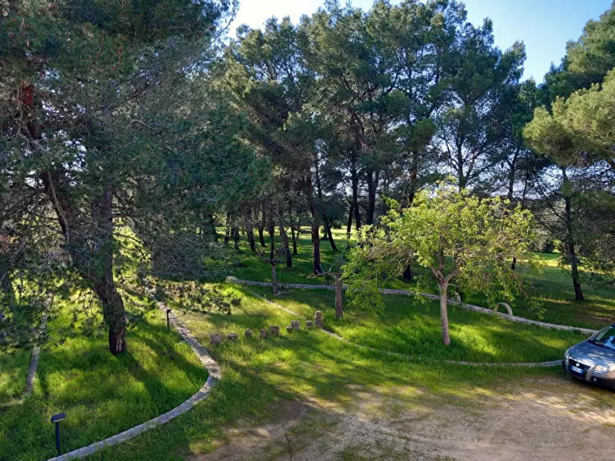 Immagine 29 di Rustico / casale in vendita  in C.da Mogavero a Francavilla Fontana
