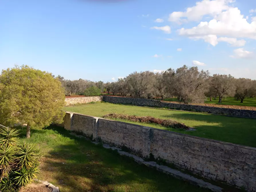 Immagine 32 di Rustico / casale in vendita  in C.da Mogavero a Francavilla Fontana