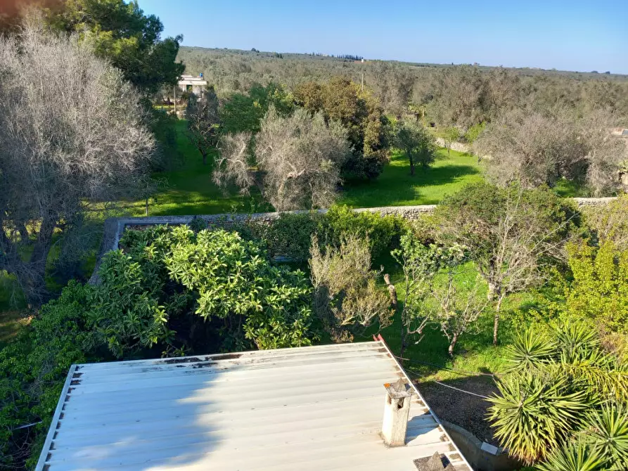 Immagine 38 di Rustico / casale in vendita  in C.da Mogavero a Francavilla Fontana